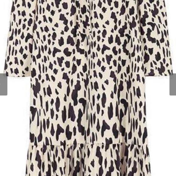 Animal Print Dress - Picture 2 of 5